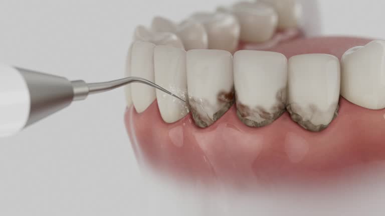 Reliable Dental contractor in Garrison, MD by Dentist Open Now